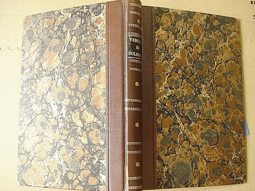 Serie cronologica vescovi - cronologica,